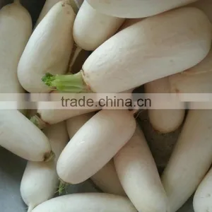 GL-380 Full Automatic Potato Vegetable and Fruit Washing and Peeling Machine thumbnail-5