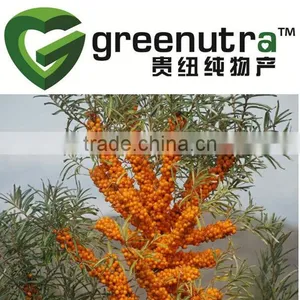 Hippophae Rhamnoides Extract thumbnail-1