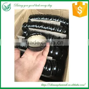 Tower Lucky Bamboo Ceramic Flower Pot thumbnail-3