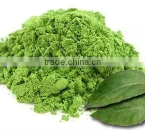 100% Gymnemic Sylvestre Leaf Powder thumbnail-1