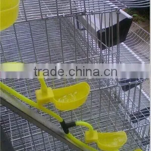 Automatic Quail Layer Cages Design thumbnail-1