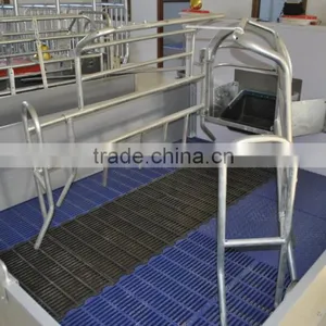 2017 Good Quality Pig Farrowing Crates For Sale thumbnail-2