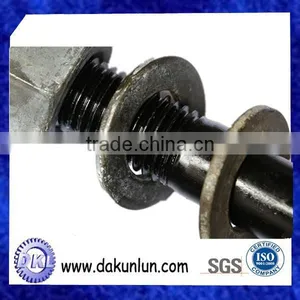 Customized Black Screw With Nut In China thumbnail-2