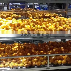 Multifunctional Best Seller Cassava Chip Drying Machine thumbnail-4