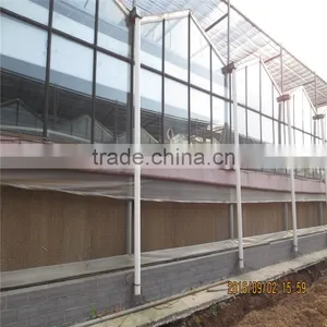 AL Frame Plastic Greenhouse With European Standart thumbnail-5