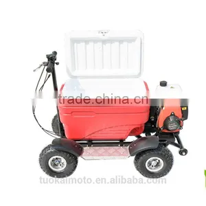 Hot Sale Gas Cooler Scooter for BBQ/43cc EPA Ice Chest Scooter (TKS-S43) thumbnail-3