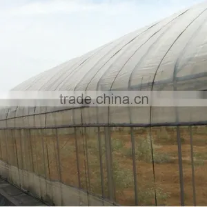 Virgin Material Greenhouse Film for Flower Clear Film uv Protection Greenhouse Plastic Film thumbnail-1