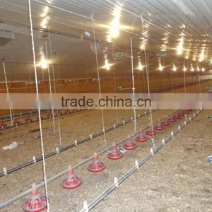 BT Factory Chicken Farming for Broiler Chicken thumbnail-3