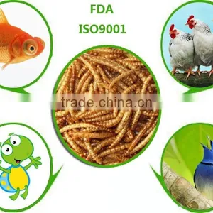 Fish Food Mealworms Golden Yellow, Pigeon Feed thumbnail-1