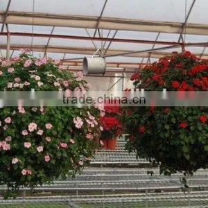 SOL 2015 Eco-friendly Green Wall Big Ball Planter Wholesale Plastic Hanging Basket Big Ball Planter thumbnail-3