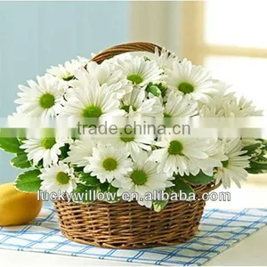 Wholesale Handmade ECO-friendly Home and Garden Decoration Flower Basket thumbnail-4