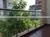Frameless Glass Fencing Spigot/Glass Balcony Railing/Stainless Steel Spigots thumbnail-4