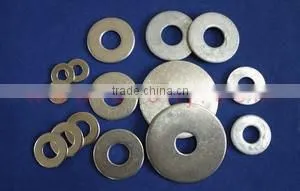 Flat Washer thumbnail-1