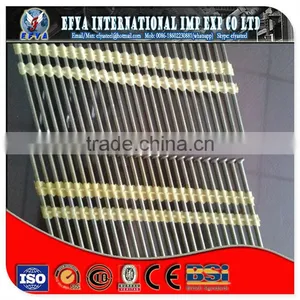 1/2"-13" High Quality Common Nails/ Stainless Steel Nail thumbnail-1