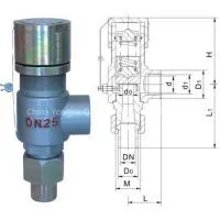 Spring Loaded Low Lift External Thread Type Safety Valve thumbnail-2