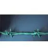 PVC Coated Barbed Wire ,Razor Barbed Wire,PVC-coated Barbed Wire thumbnail-1
