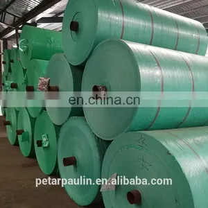 China Tarpaulin Factory Supply Waterproof pe Tarpaulins Sheet thumbnail-4