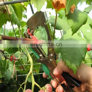 Reliable Small Kiwi Tapetool With Factory Price thumbnail-5