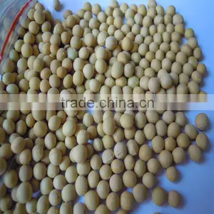 Organic Soybean thumbnail-1