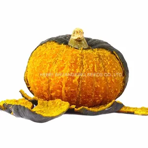 Wholesale Delicious Sweet Pumpkin Seeds for Growing thumbnail-1