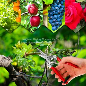 Garden Branch Cutting Scissors Tree Pruning Tool Stainless Steel Pointed Pruning Shears With Plastic Handle thumbnail-5