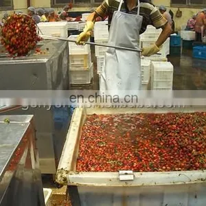 Cherry Stem Stalk Removing Machine Cherry Pitting Machine for Cherry Process Machine thumbnail-4