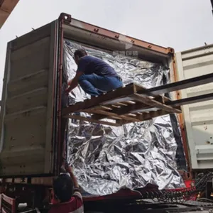 China Supplier Container PE Dry Bulk Liner Bag for Agricultural Seed and Grain Storage thumbnail-2