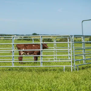 Load-Bearing Galvanized Cattle Panels - Durable Australia Standard Farm Equipment thumbnail-1