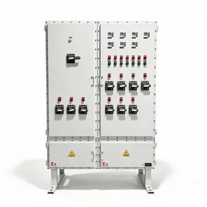 Wall Mounted Explosion Proof Power Distribution Box IP66 Zone 1 Zone 2 Explosion Proof Cabinet thumbnail-3