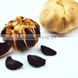 Black Garlic thumbnail-3