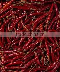 Chillies thumbnail-1