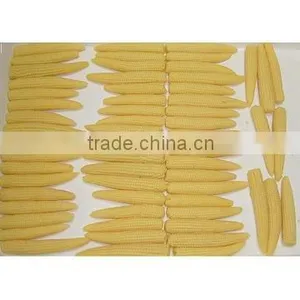 Canned Baby Corn thumbnail-1