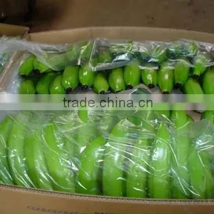 Cavandish Banana thumbnail-2