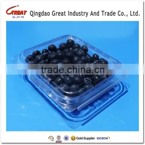 Plastic Fruit Packaging Blueberry Container thumbnail-2