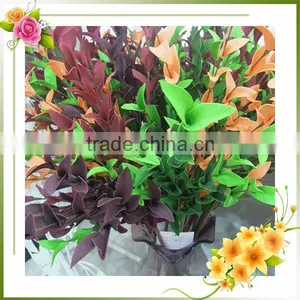 Artificial Yucca Money Tree Plant thumbnail-1