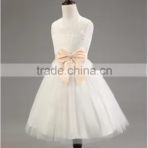 Lastest Wholesale Elegant Girls Chiffon Party Hand Embroidery Dresses TR-WS31 thumbnail-6