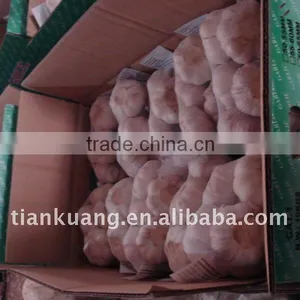 China Garlic thumbnail-1