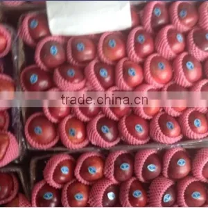 Chinese Huaniu Apple Exporting thumbnail-5