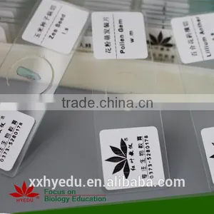 200kinds Prepared Slides , Mixed Glass Prepared Slides thumbnail-6