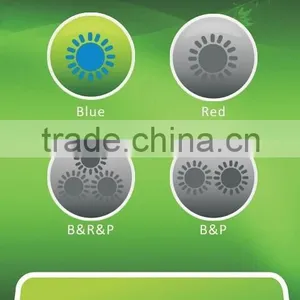 WZ-05 2015 Teeth Bleaching System thumbnail-4