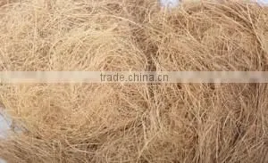 Exporter of Coir Coconut Fibre thumbnail-1