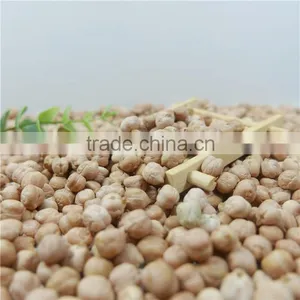 Best Quality Chickpea Market Price HPS White Chick Pea Beans thumbnail-5