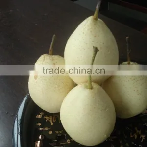 New Crop of Fresh ya Pear for Bulk Purchase thumbnail-1