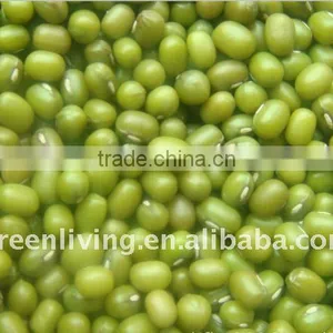 Sell Chinese Dried Green Mung Bean(2011 New Crop) thumbnail-1