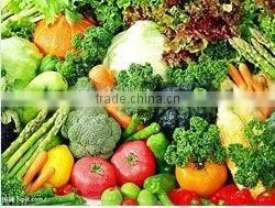 Fresh Vegetables thumbnail-1