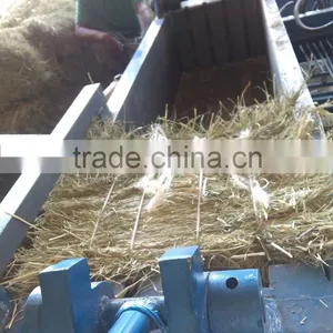 Rhode Grass Hay thumbnail-6