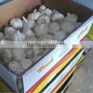 Chinese Garlic2015 Crop Hot Sale thumbnail-2
