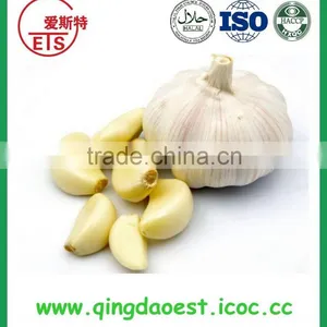 Good Quality and Best Price Hot Sale Fresh Pure White Garlic thumbnail-4