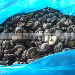 Shiitake Mushroom Getrocknet thumbnail-1