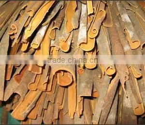 Split Cassia From Vietnam - High Oil Content and Natural Color thumbnail-1